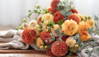 Flowers for the Family